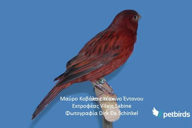 Συνημμένη εικόνα 62685