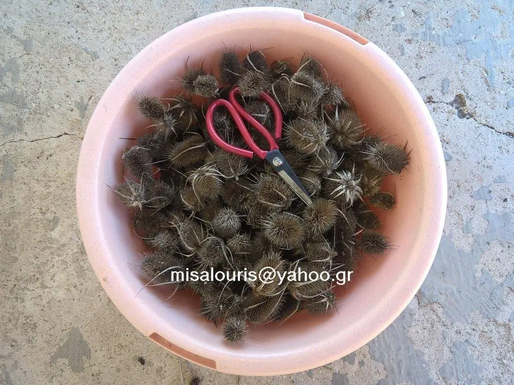 Συνημμένη εικόνα 63137