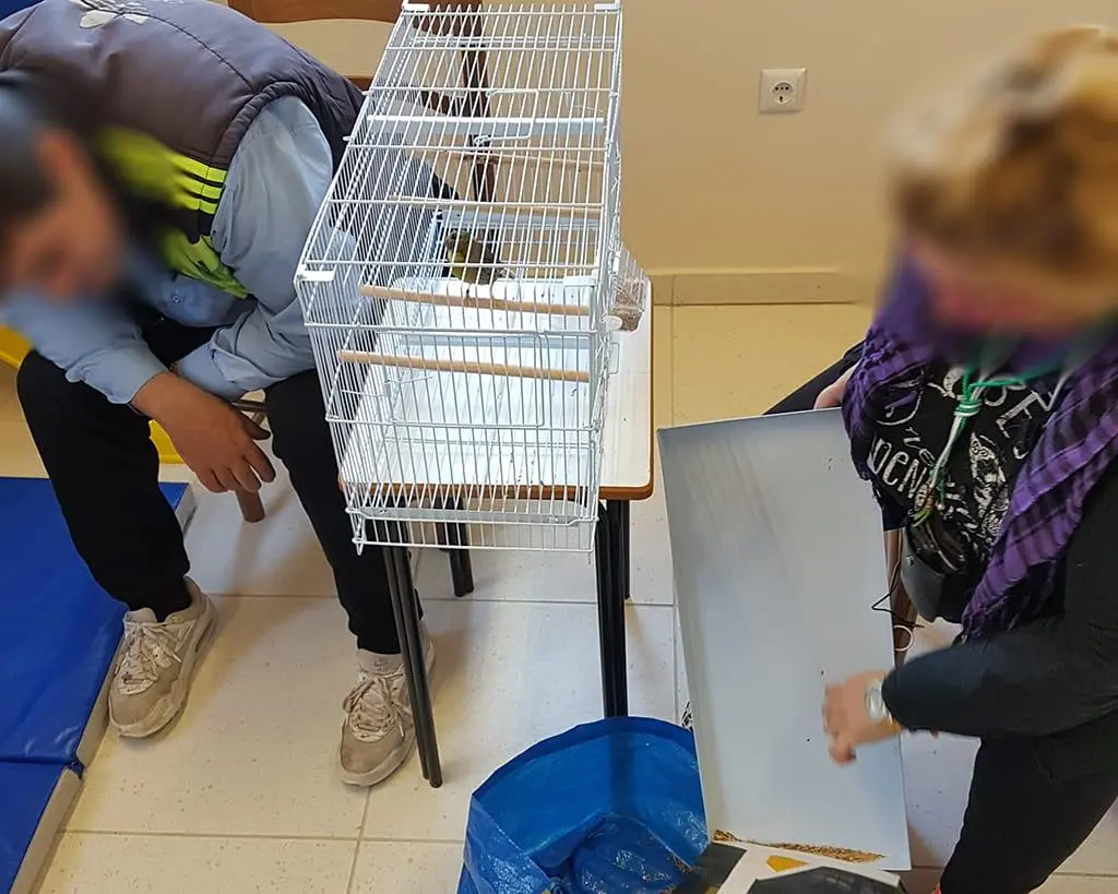 Συνημμένη εικόνα 63581