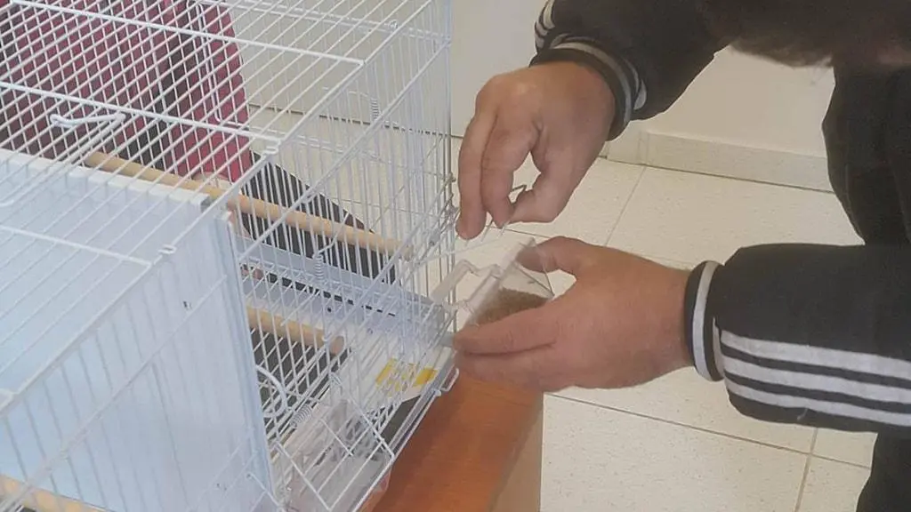 Συνημμένη εικόνα 63585