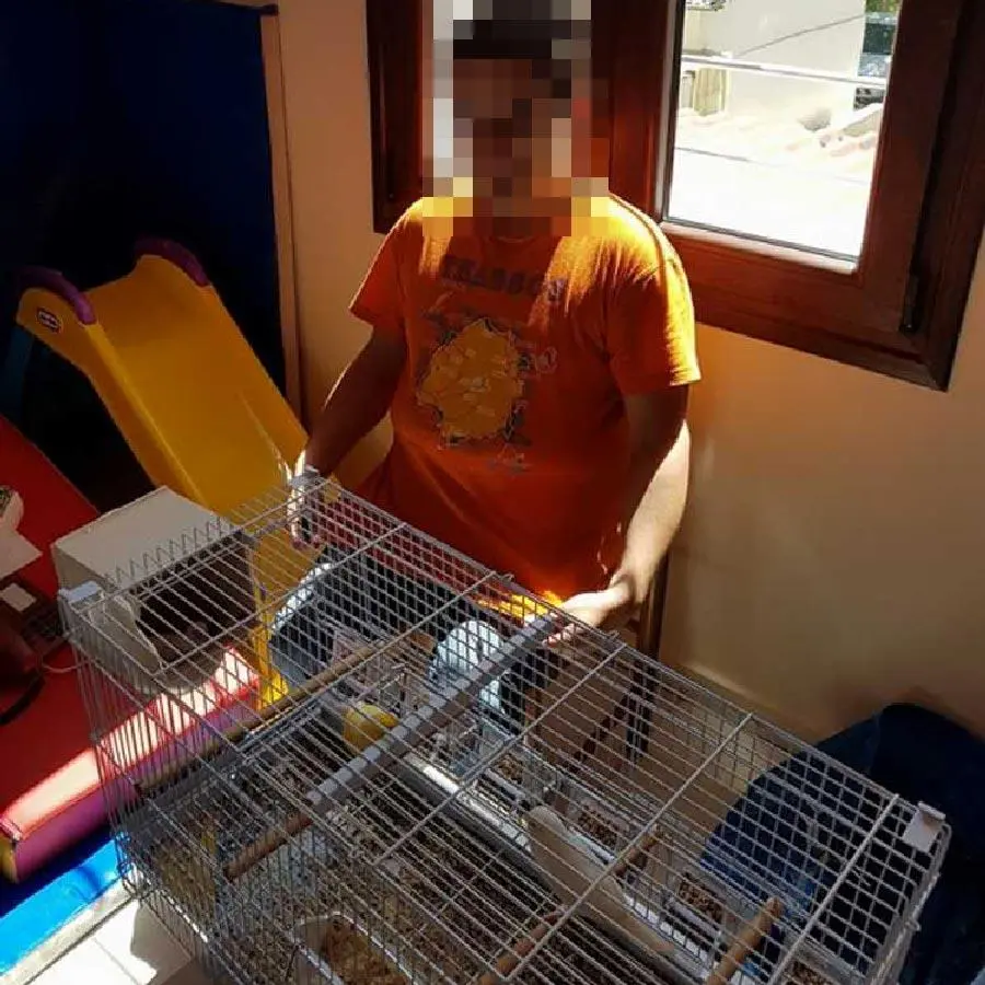 Συνημμένη εικόνα 63587