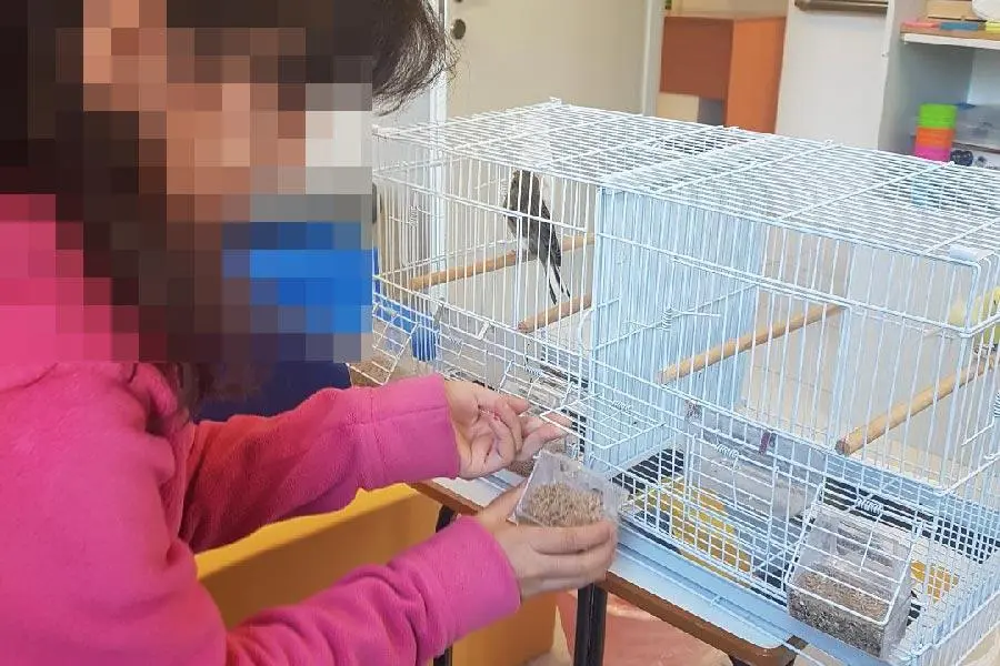 Συνημμένη εικόνα 63588