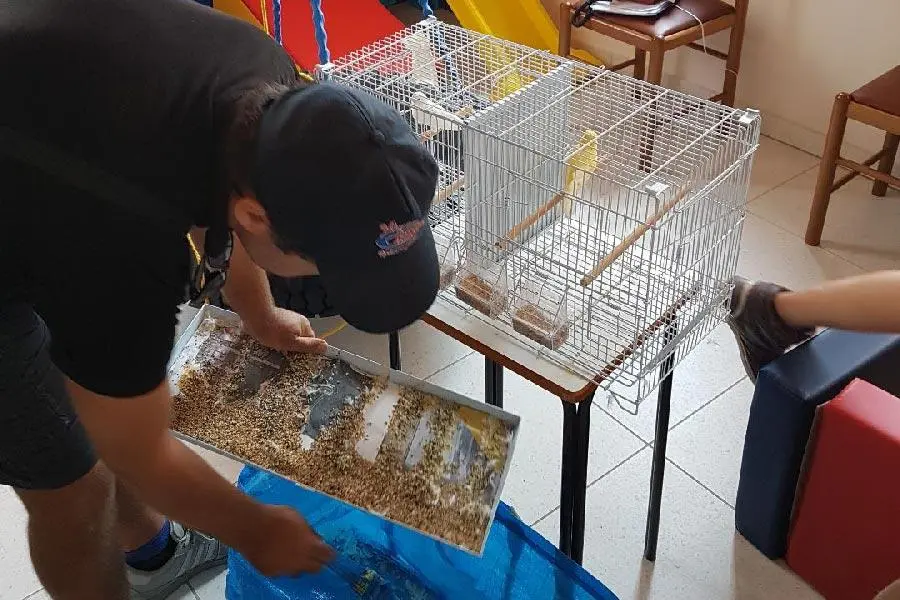 Συνημμένη εικόνα 63589