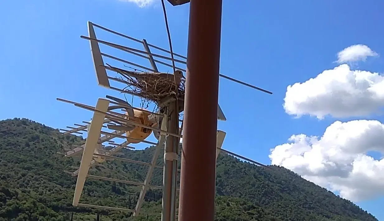 Συνημμένη εικόνα 63637