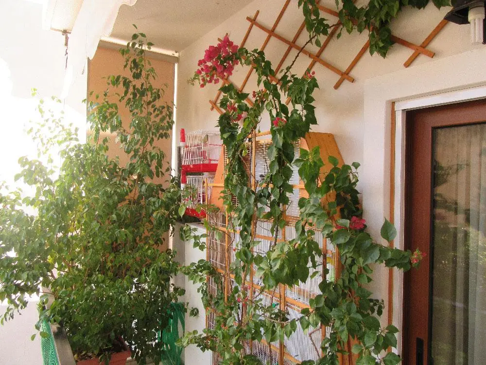 Συνημμένη εικόνα 63734
