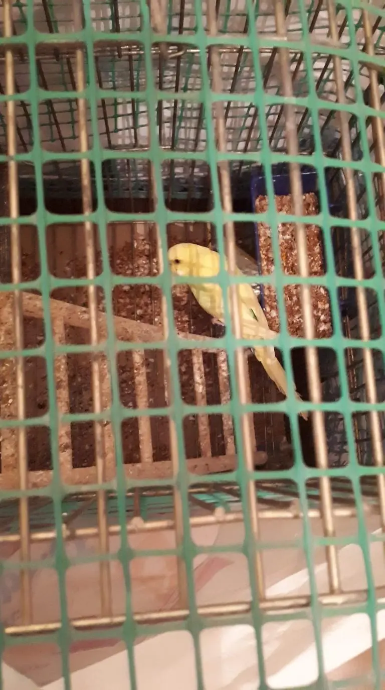 Συνημμένη εικόνα 63817