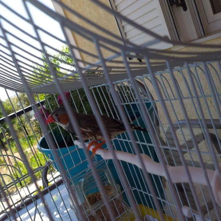 Συνημμένη εικόνα 64006