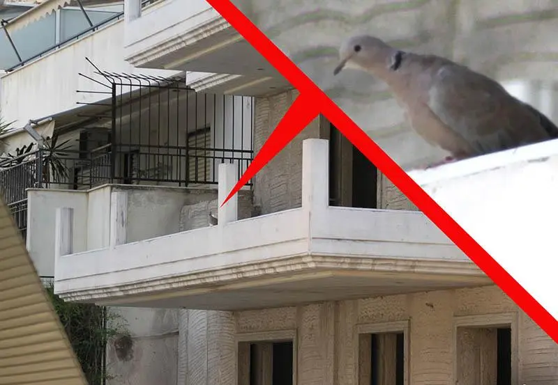 Συνημμένη εικόνα 64097