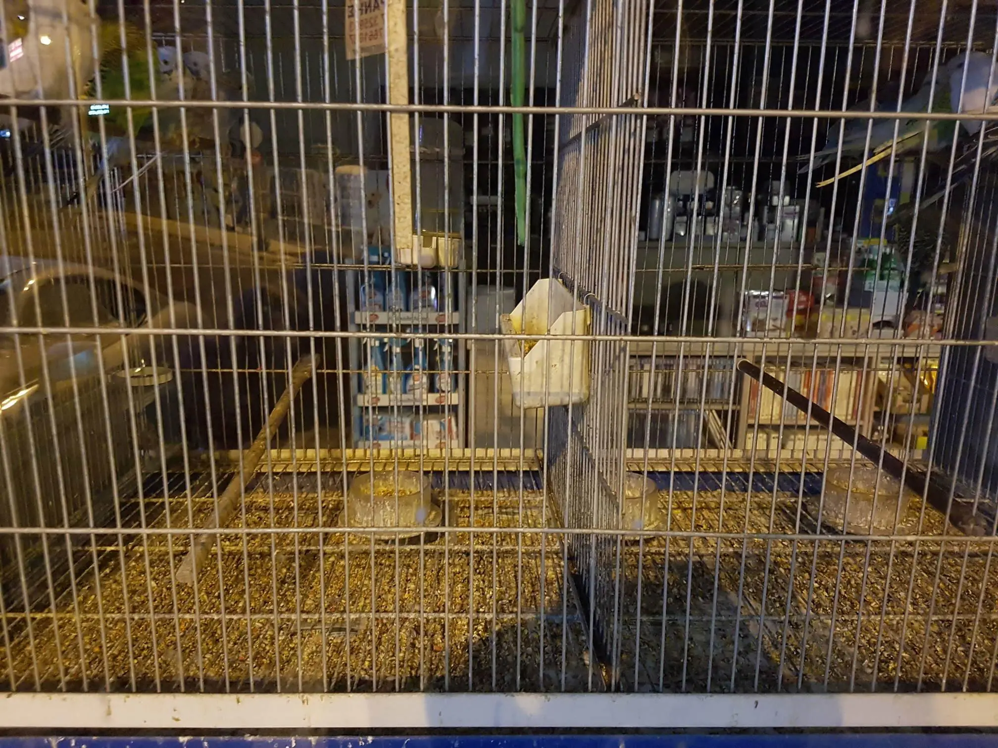 Συνημμένη εικόνα 64121
