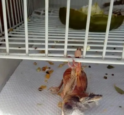 Συνημμένη εικόνα 64505