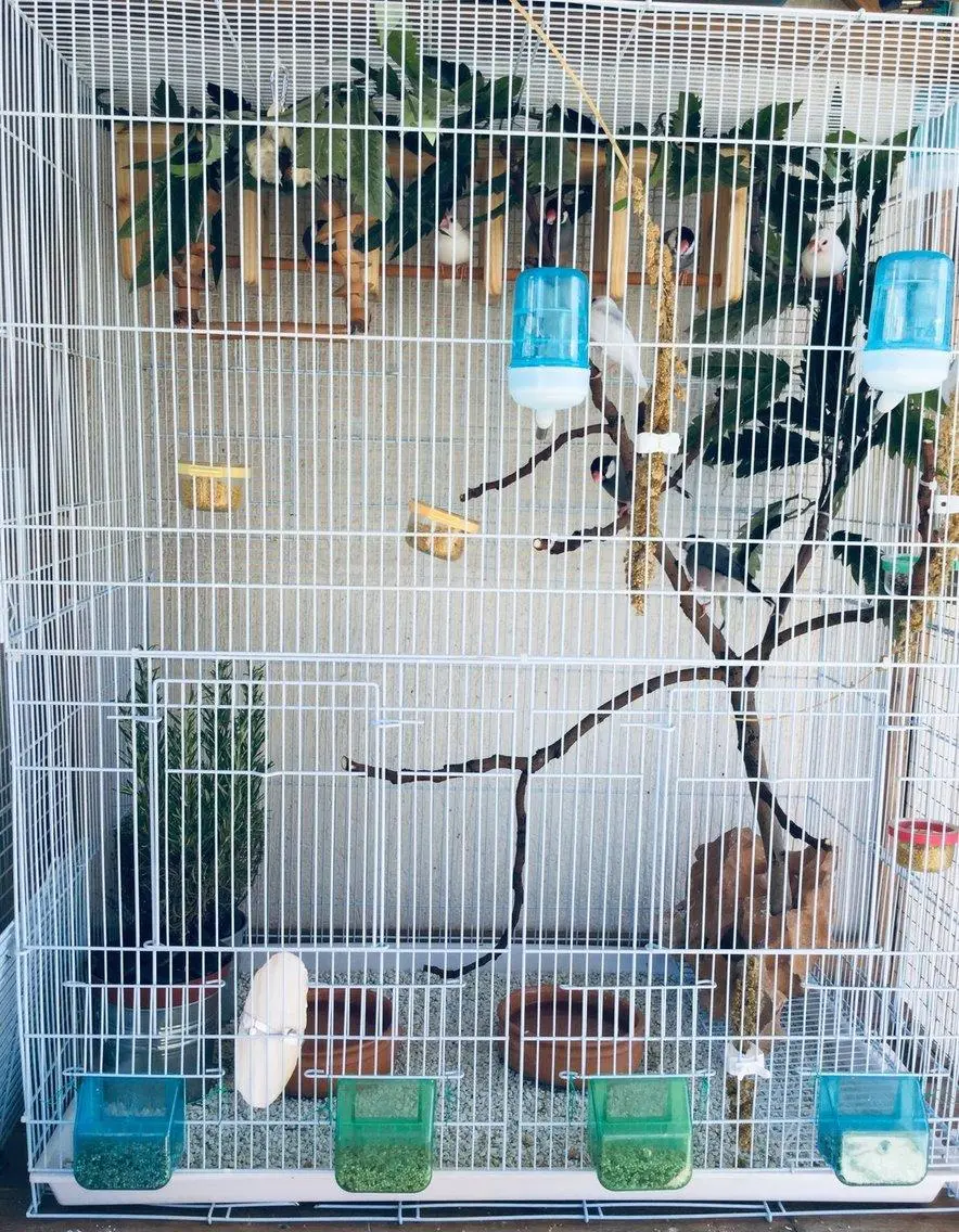Συνημμένη εικόνα 64824