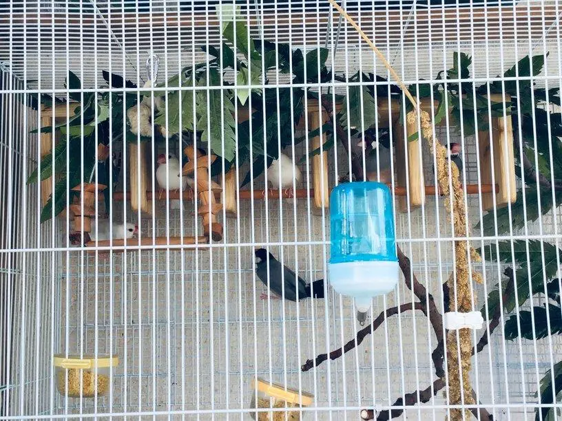 Συνημμένη εικόνα 64825