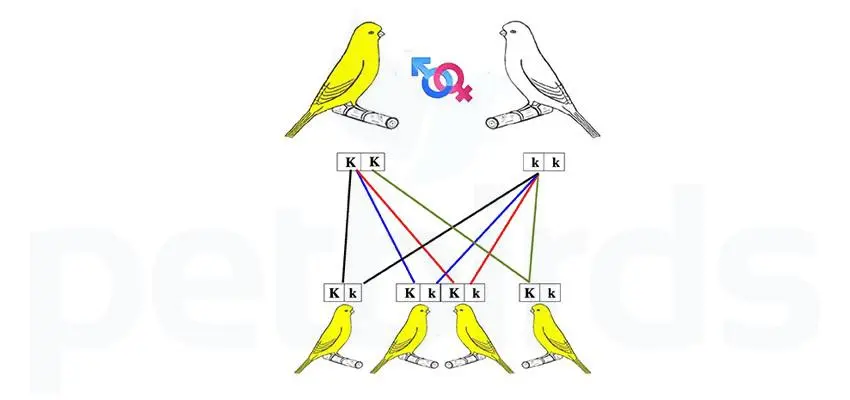 Συνημμένη εικόνα 65094