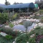 Συνημμένη εικόνα 65481