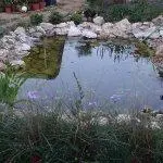 Συνημμένη εικόνα 65482