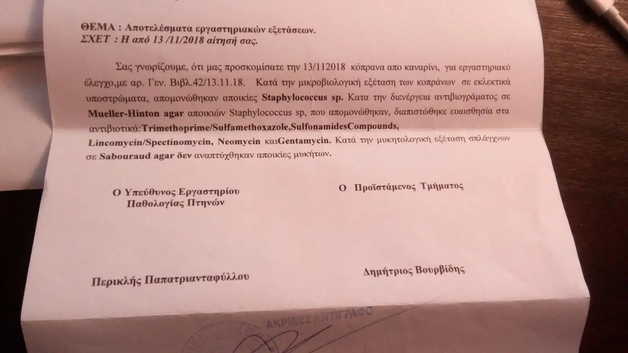 Συνημμένη εικόνα 65911