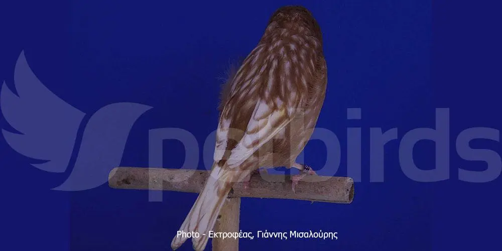 Συνημμένη εικόνα 66666