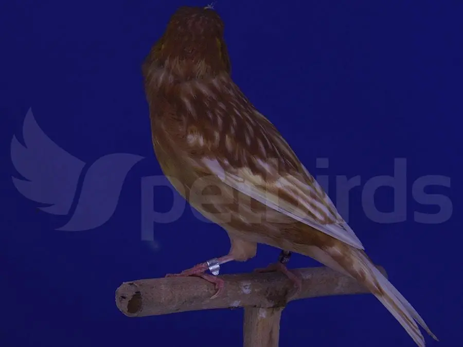 Συνημμένη εικόνα 66670
