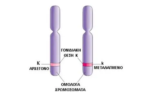 Συνημμένη εικόνα 66921