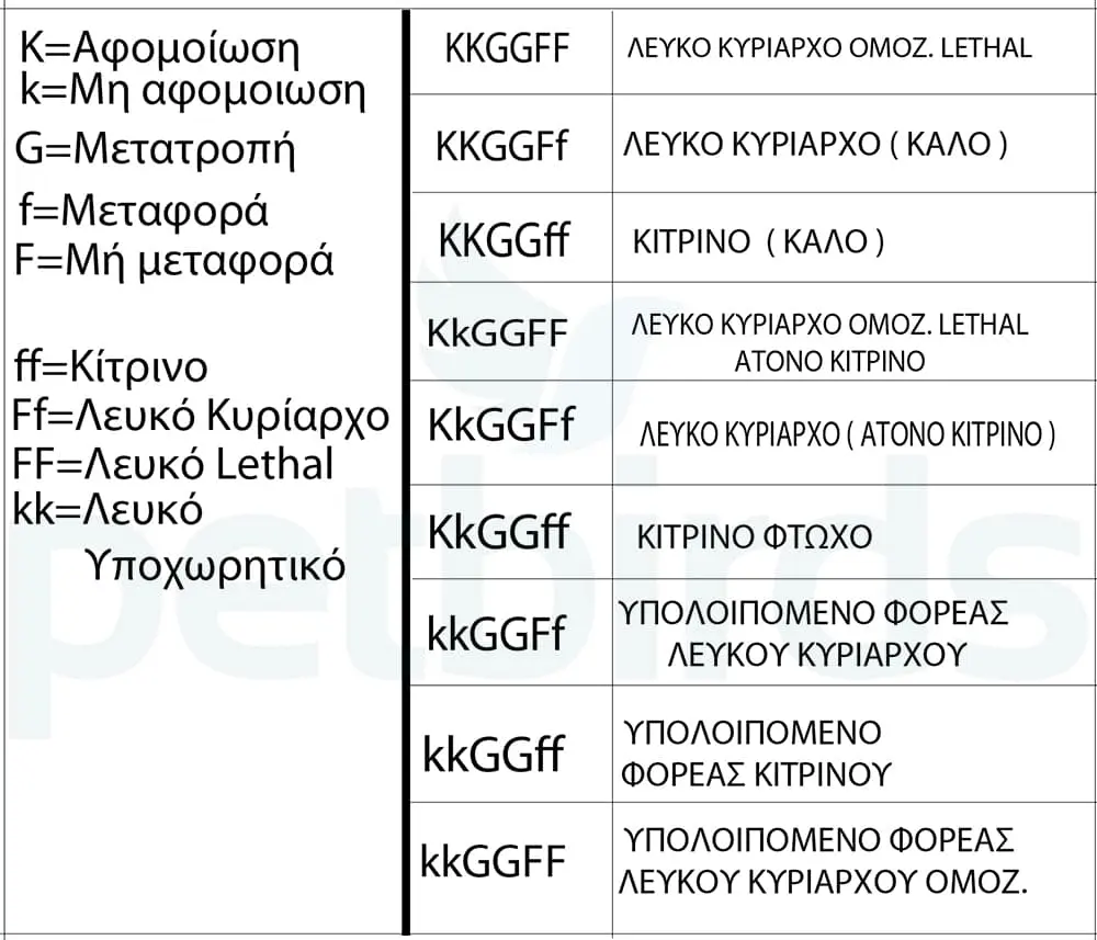Συνημμένη εικόνα 66984