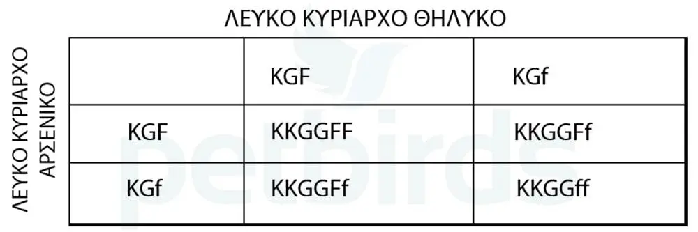 Συνημμένη εικόνα 66985