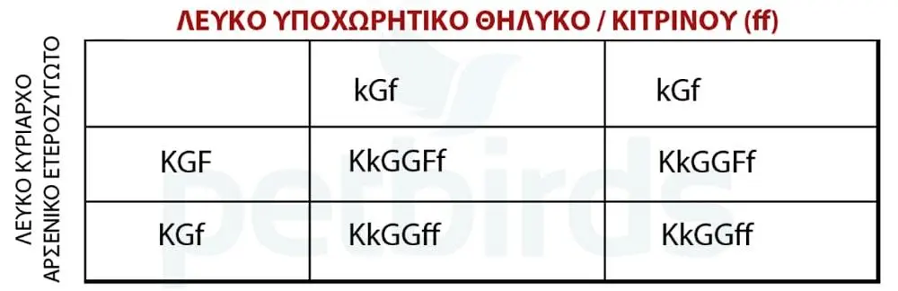 Συνημμένη εικόνα 66986