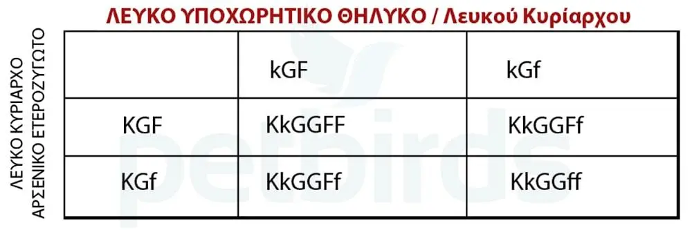 Συνημμένη εικόνα 66987