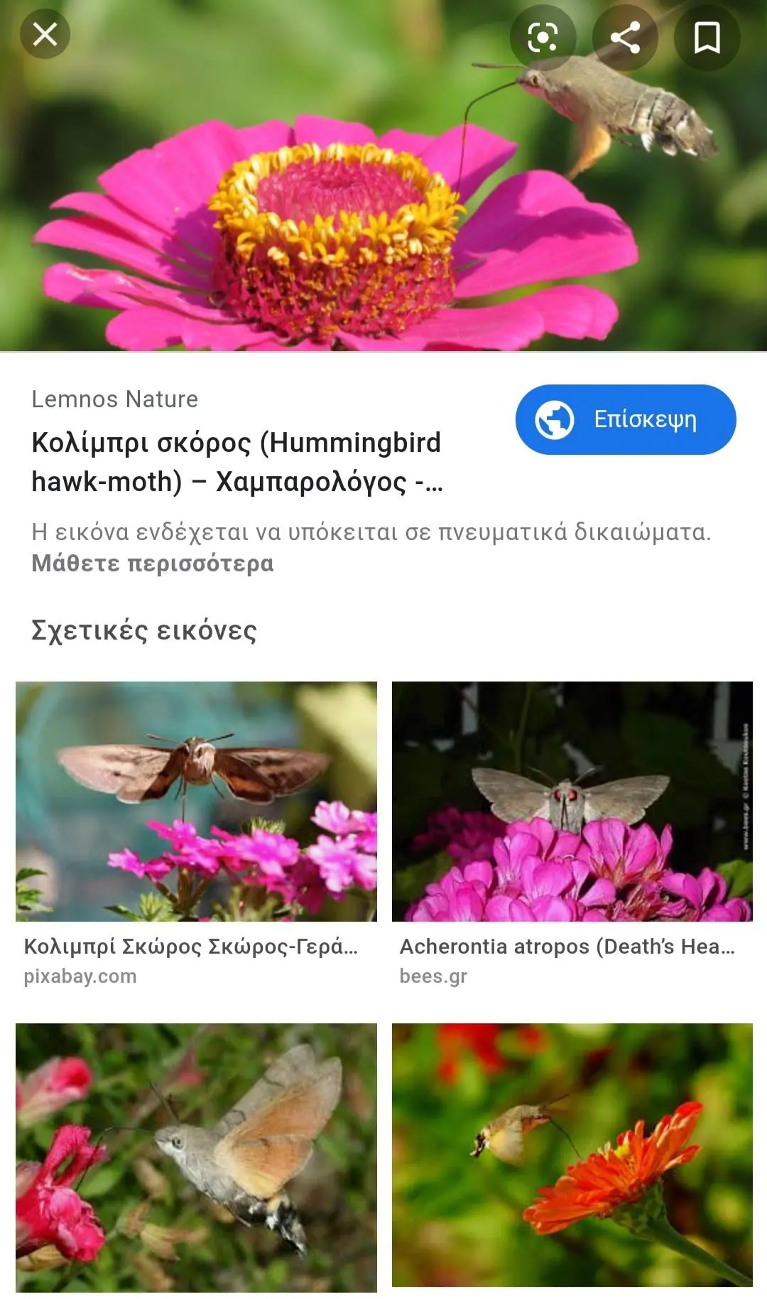 Συνημμένη εικόνα 67041