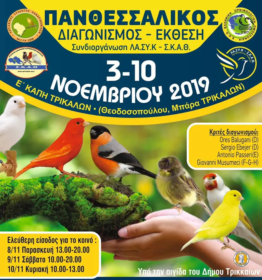 Συνημμένη εικόνα 67221