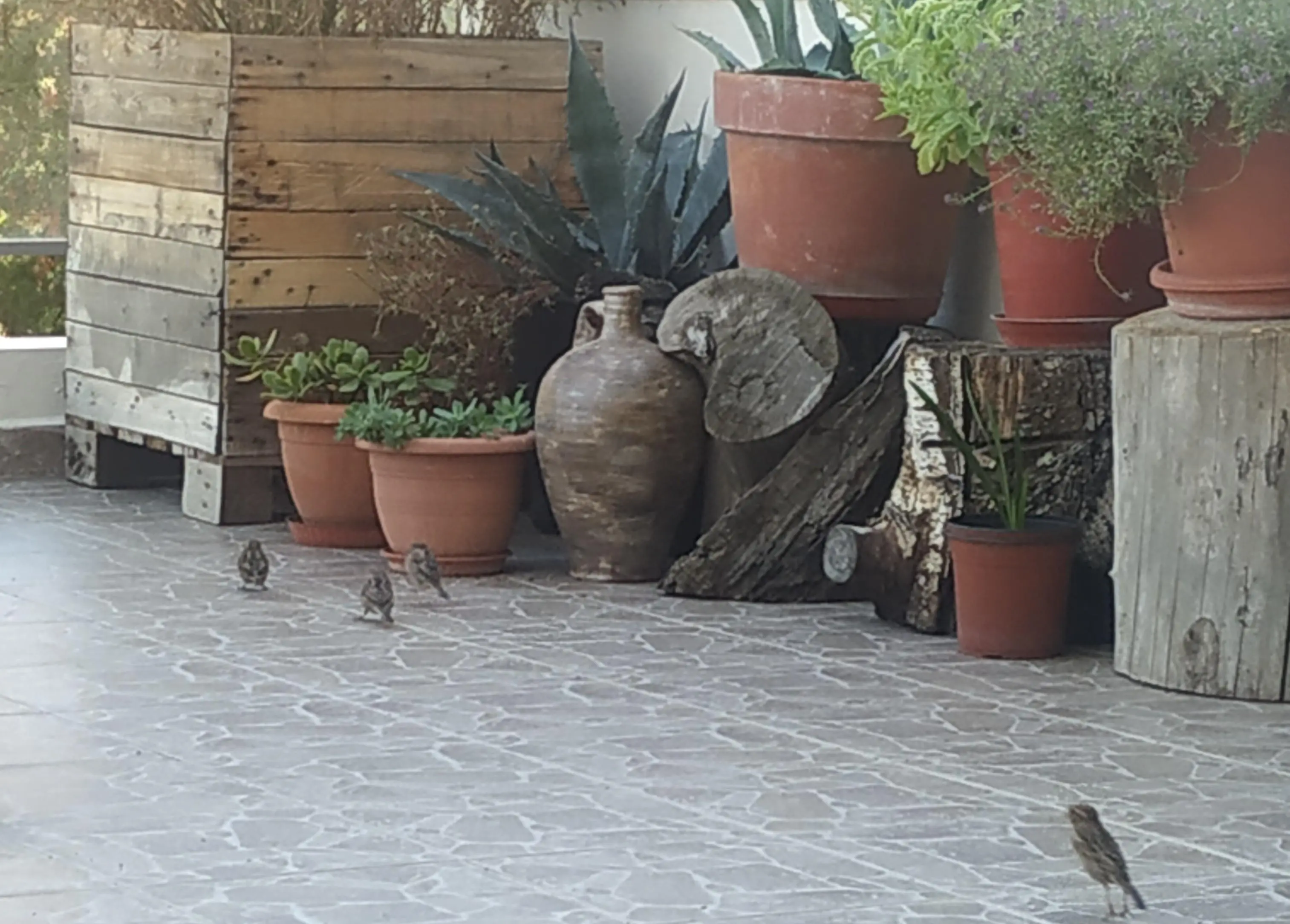 Συνημμένη εικόνα 67286