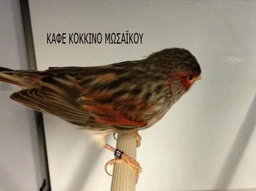 Συνημμένη εικόνα 67295