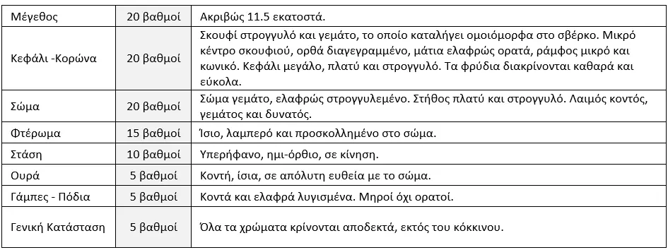 Συνημμένη εικόνα 67305