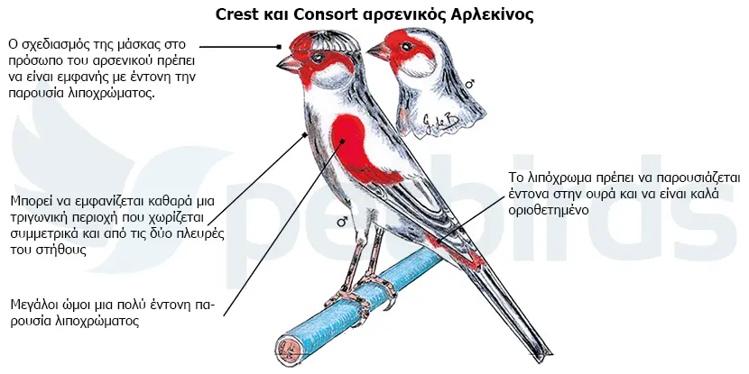 Συνημμένη εικόνα 67533