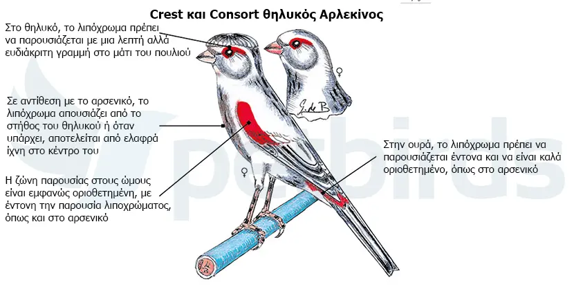 Συνημμένη εικόνα 67534