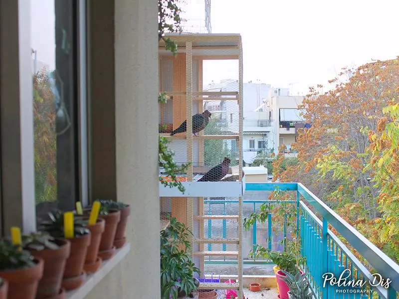 Συνημμένη εικόνα 67695