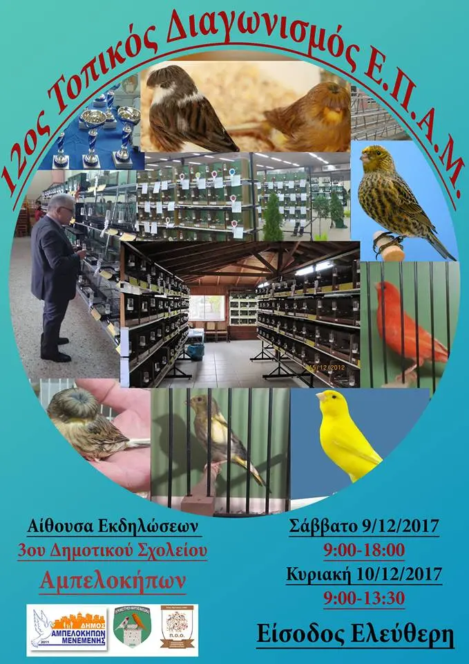 Συνημμένη εικόνα 67964