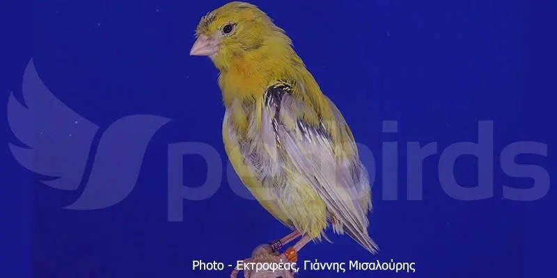 Συνημμένη εικόνα 68047
