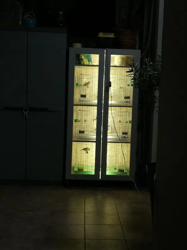 Συνημμένη εικόνα 68054