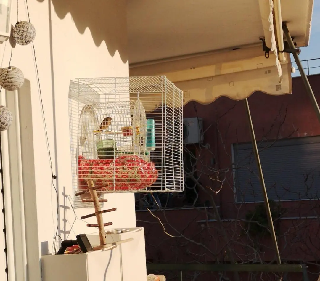 Συνημμένη εικόνα 68168
