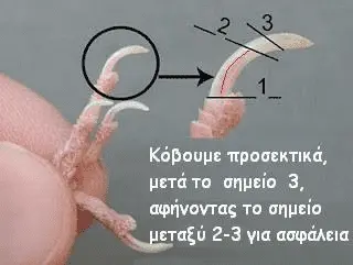 Συνημμένη εικόνα 68269