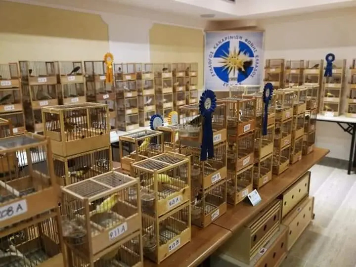 Συνημμένη εικόνα 68285