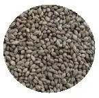 Συνημμένη εικόνα 68450