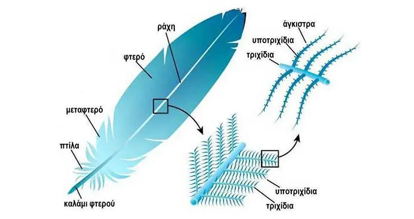 Συνημμένη εικόνα 68486