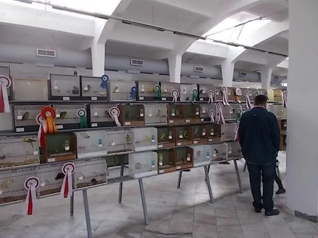 Συνημμένη εικόνα 68497
