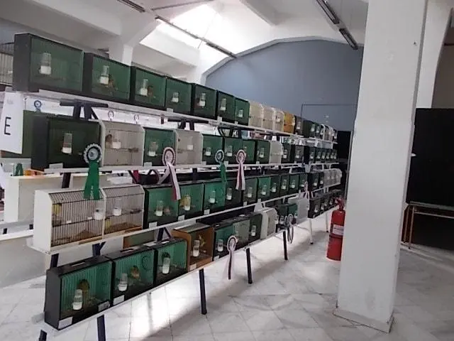Συνημμένη εικόνα 68503