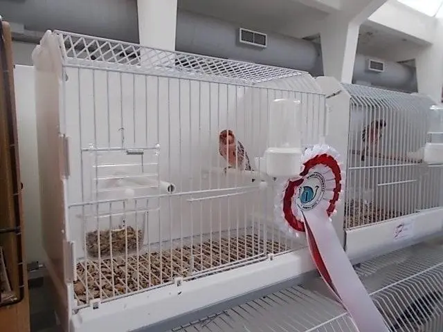 Συνημμένη εικόνα 68504