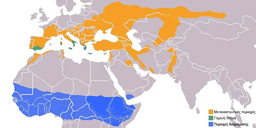 Συνημμένη εικόνα 68550