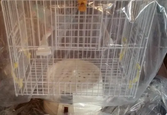Συνημμένη εικόνα 68638