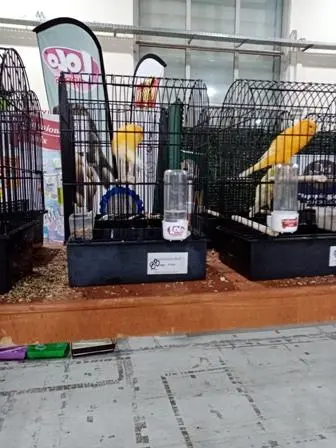 Συνημμένη εικόνα 68695