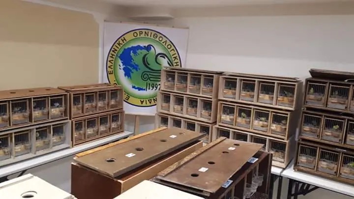 Συνημμένη εικόνα 68773
